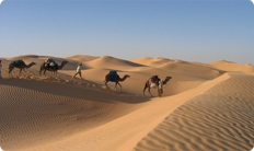 Circuits Excursions Randonnées Raids Sahara Douz