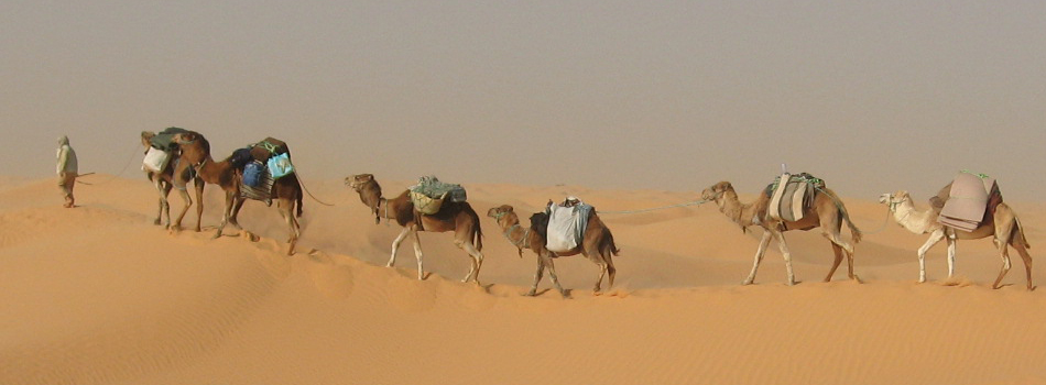 Viaggi deserto Tunisia
